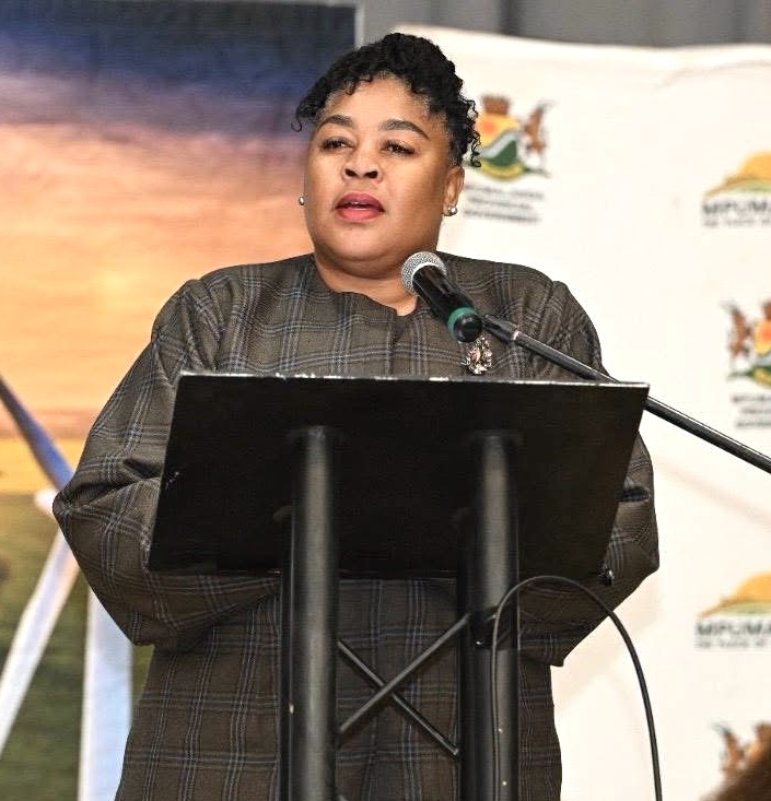 Mpumalanga adopts help desk, project tracker to unlock energy investment