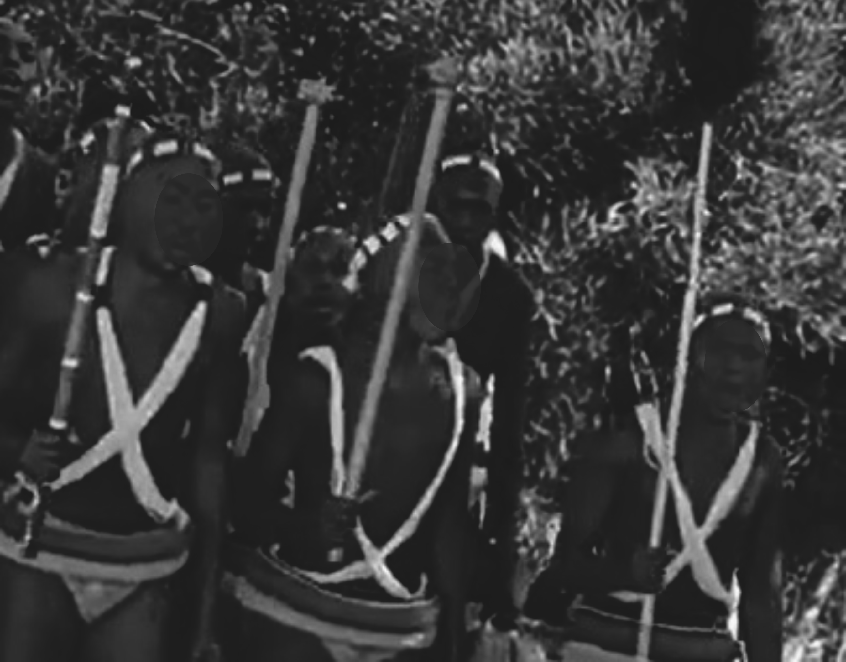Police rescue 18 boys from alleged illegal initiation school in Vosman