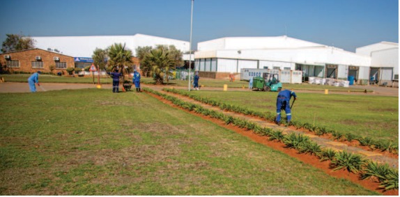 Daybreak reports progress in business recovery and commitment to employee stability